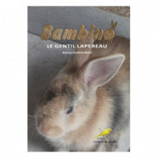 Couverture du livre Bambino le gentil lapereau