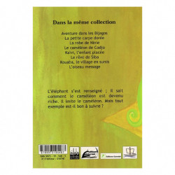 Couverture du livre Le caméléon de Codjo