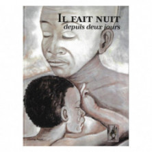 Couverture du livre Il fait nuit depuis deux jours