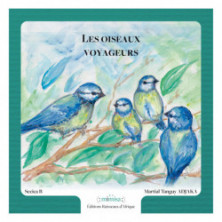 Couverture du livre Les oiseaux voyageurs