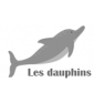 Les dauphins